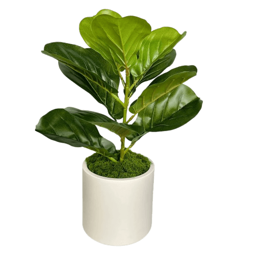 Beige Plastic Matte Cylindrical Plant Pot with Artificial Moss Included