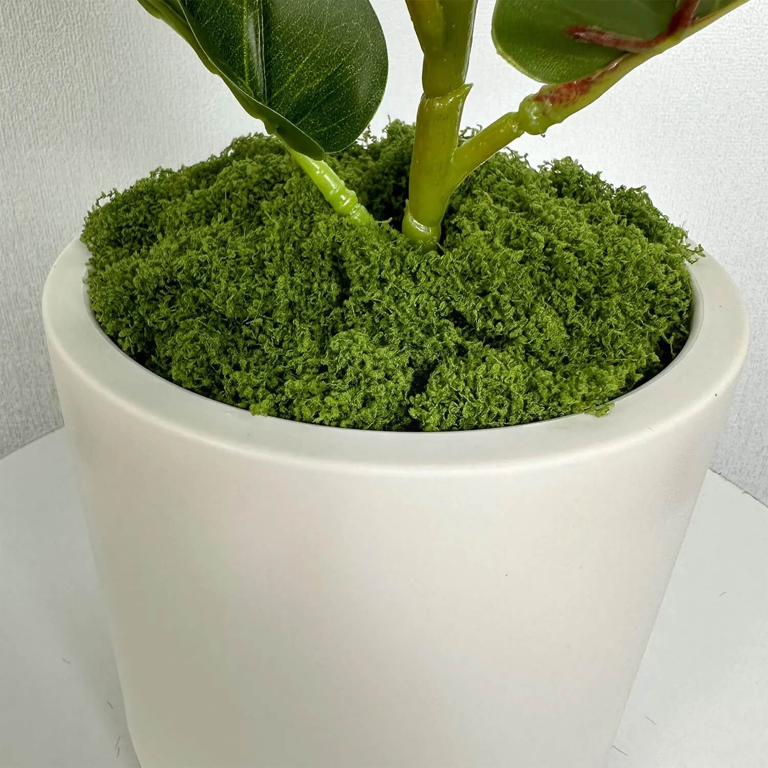 Beige Plastic Matte Cylindrical Plant Pot with Artificial Moss Included