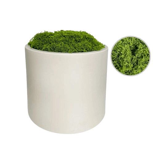 Beige Plastic Matte Cylindrical Plant Pot with Artificial Moss Included_Various Sizes H18cm, 22cm + 27cm