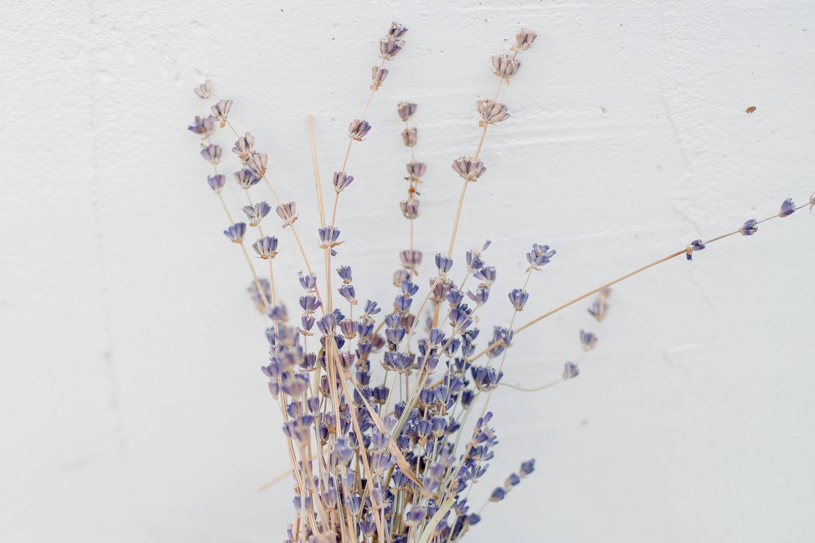 Discover the essentials for simpler living at Tidy-Tales