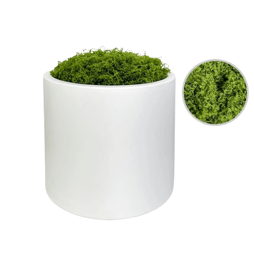 White Plastic Matte Cylindrical Plant Pot with Artificial Moss Included_Various Sizes H18cm, 22cm + 27cm